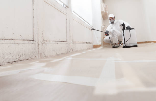 24/7 Emergency Mold Removal experts in Marysville, MI
